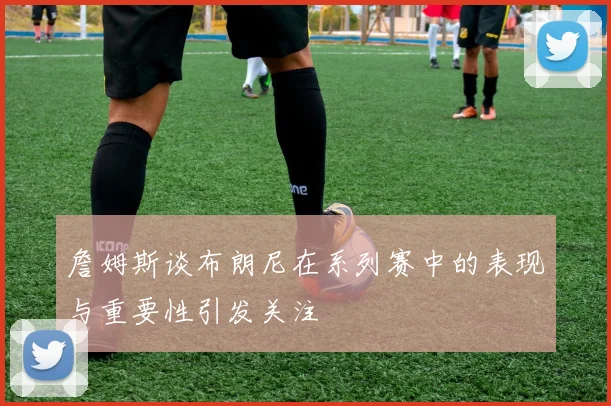 詹姆斯谈布朗尼在系列赛中的表现与重要性引发关注