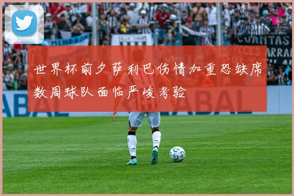 世界杯前夕萨利巴伤情加重恐缺席数周球队面临严峻考验